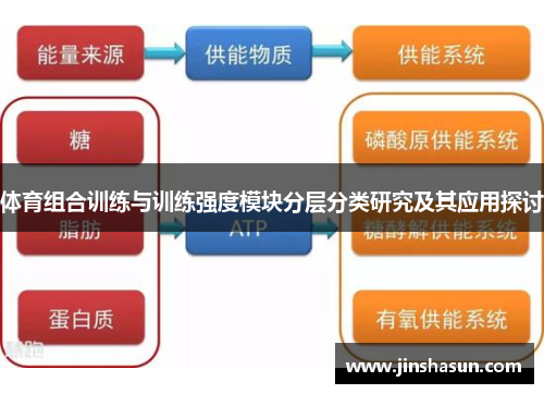 体育组合训练与训练强度模块分层分类研究及其应用探讨