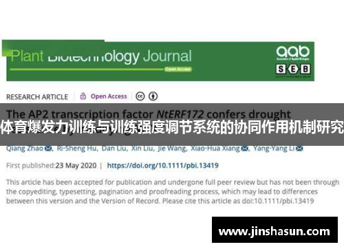 体育爆发力训练与训练强度调节系统的协同作用机制研究